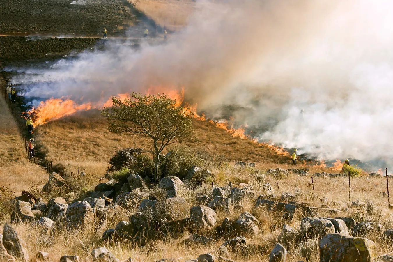 Impacto dos incêndios na produção agrícola