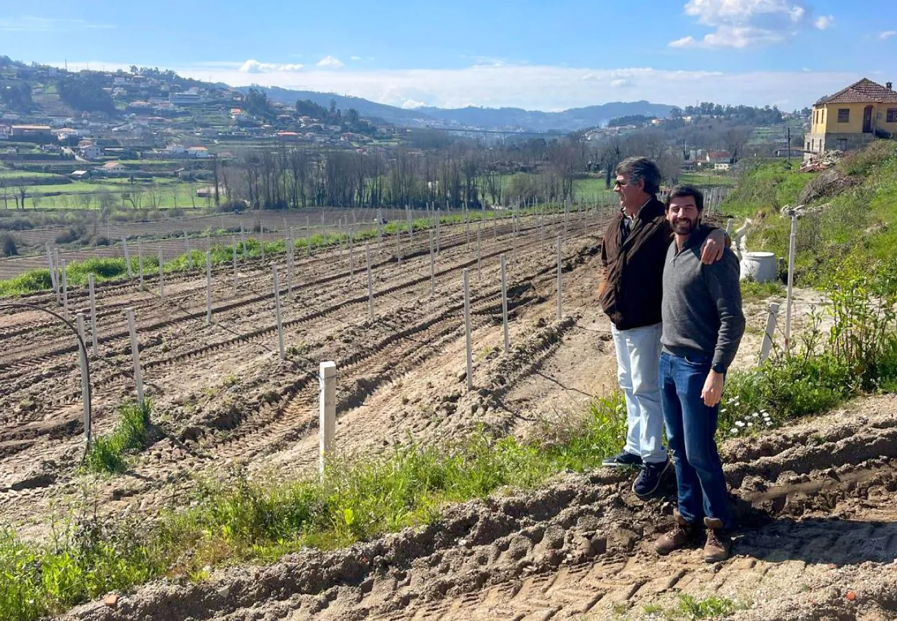Verde ao Longe, Lda.: A história da aposta na Cultura do Kiwi