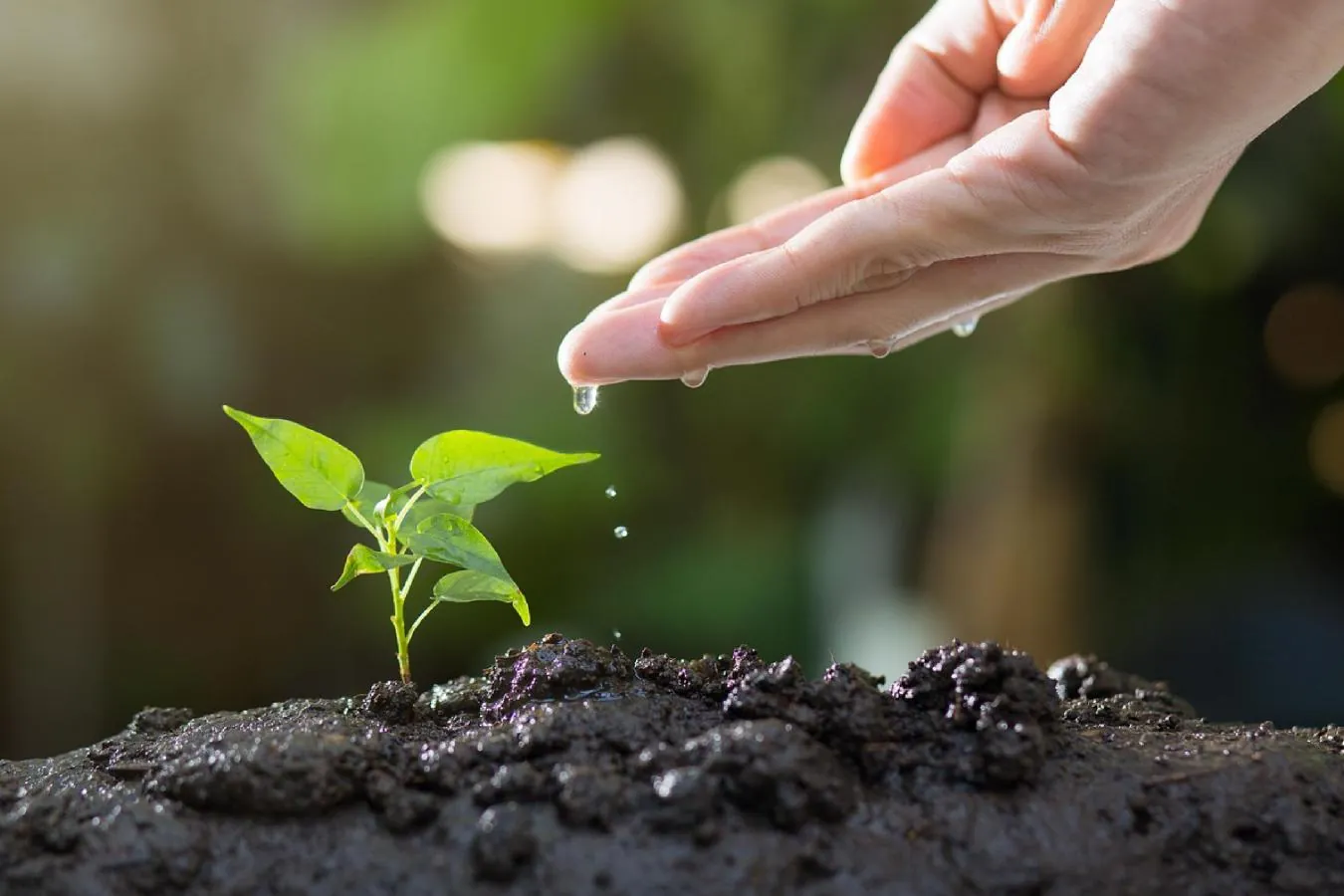 Fatores de Produção Agrícola