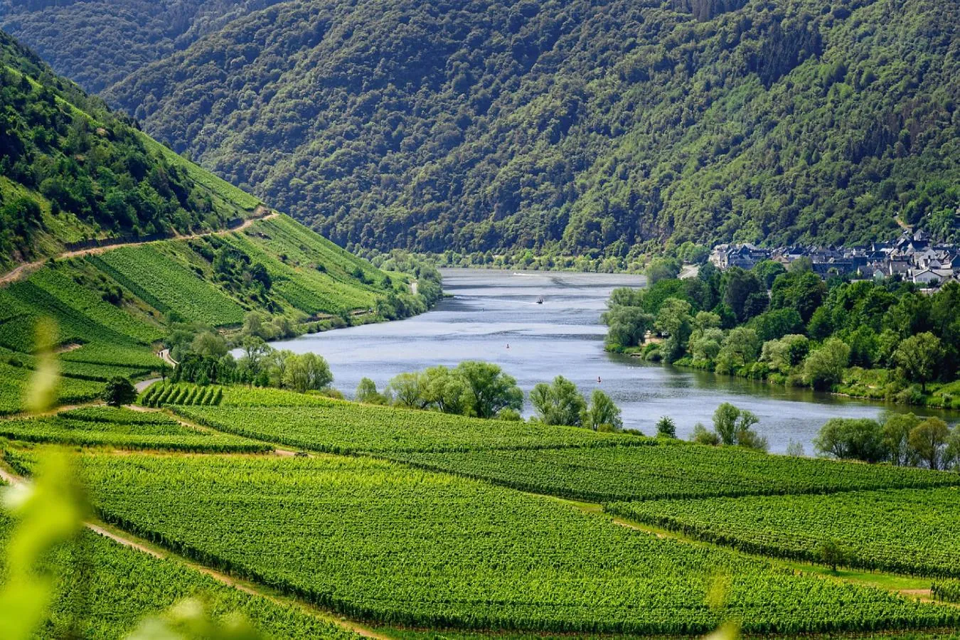Turismo Rural em Portugal: Valorização do Património Natural e Cultural