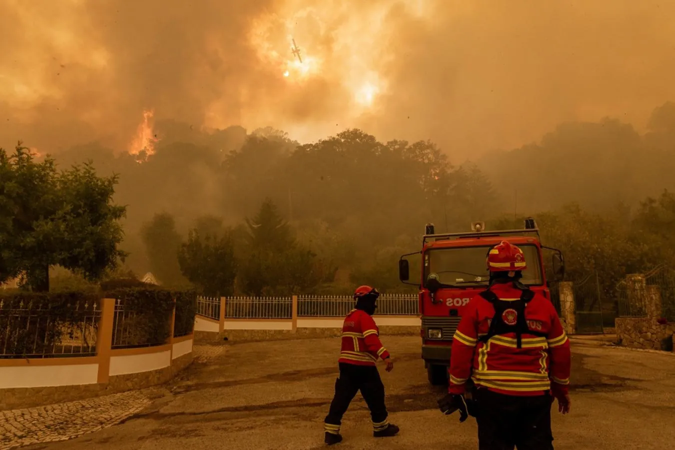 Panorama das Florestas e Evolução dos Incêndios Florestais em Portugal