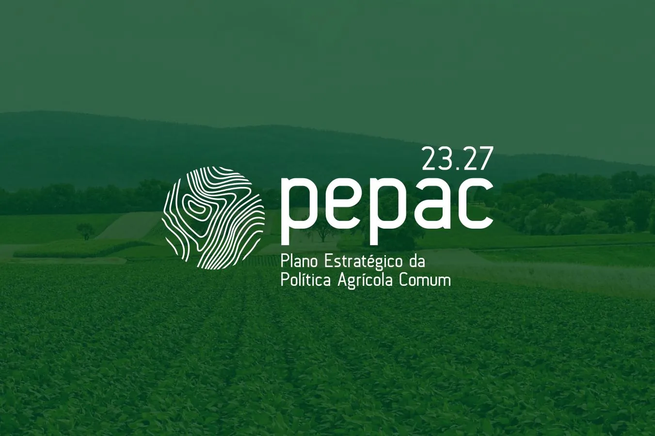 Candidaturas do PEPAC Continente