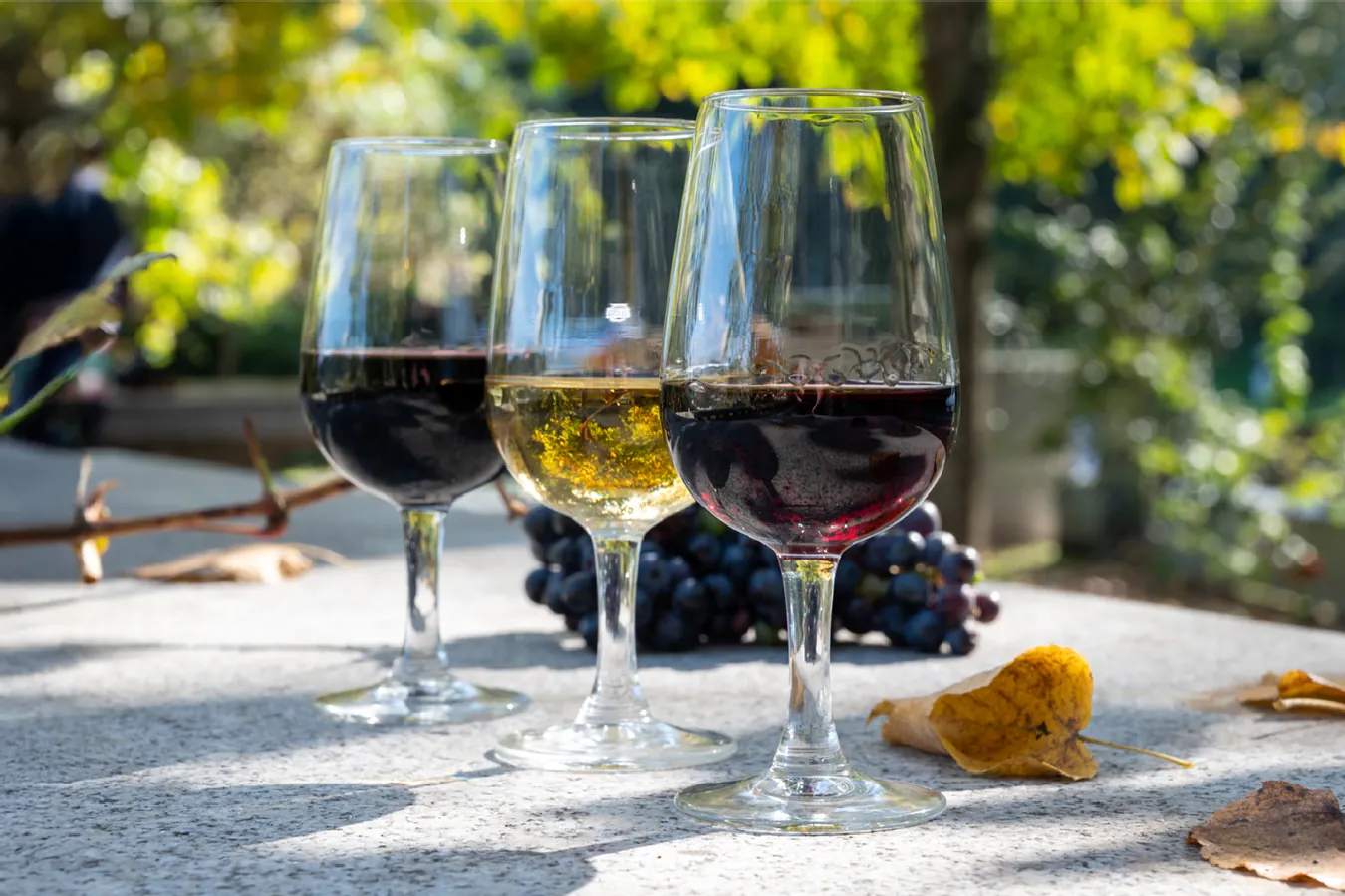 Castas de Vinha Produzidas em Portugal