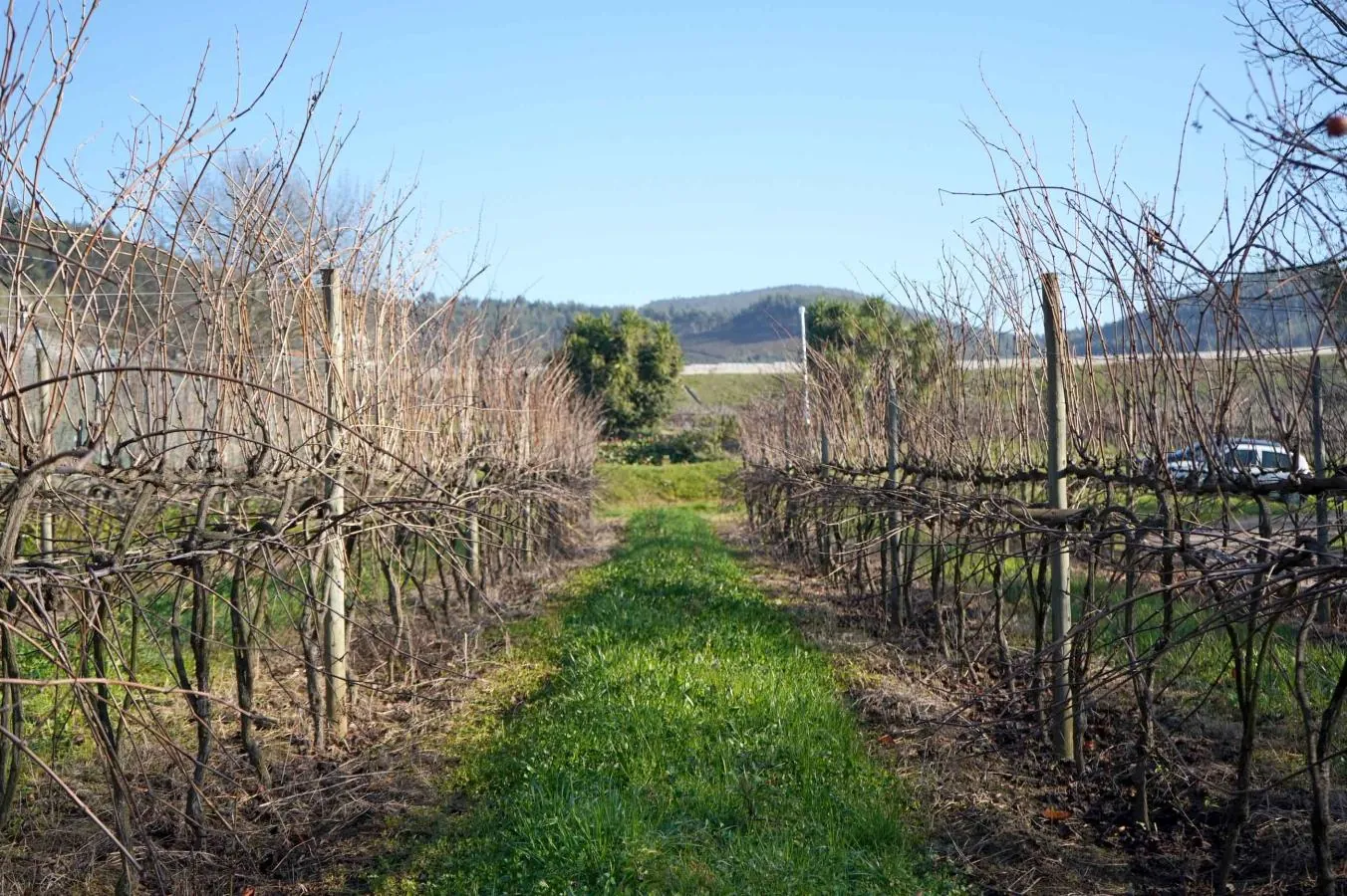 Agricultura Regenerativa