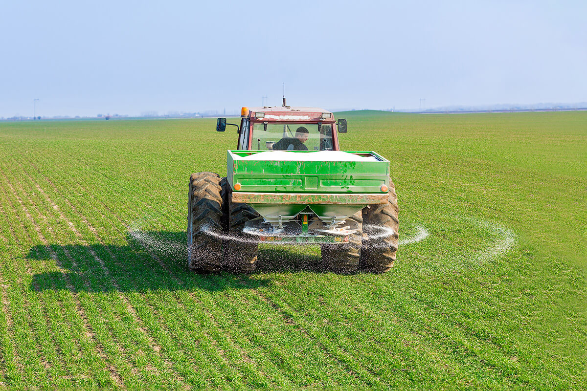 Fertilizantes e Técnicas de Aplicação