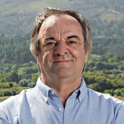 Anselmo Mendes