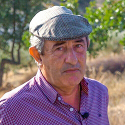 António Guerra