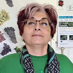 Esmeraldina Sousa