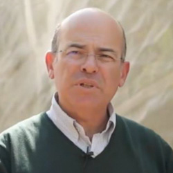 Francisco Guedes