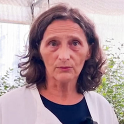 Helena Machado