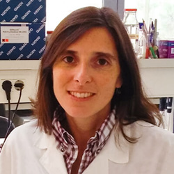 Joana Henriques