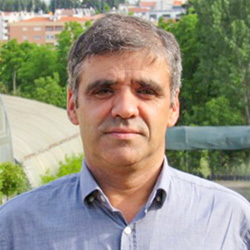 Manuel Ângelo Rodrigues