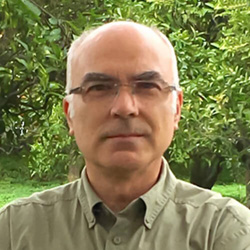 Mário Reis