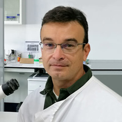 Pedro Naves